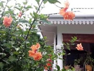 אנסה וולברט וילג' Coco Bay Guest House מראה חיצוני תמונה